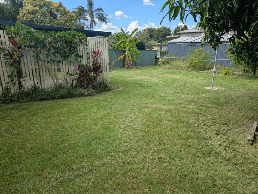 Backyard reset in one visit