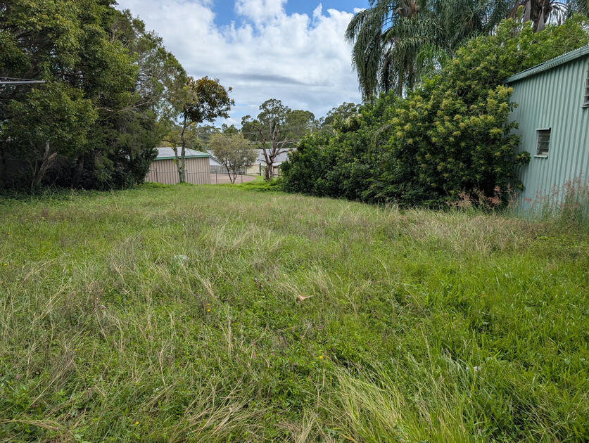 Heavily overgrown on first visit