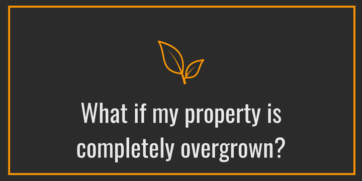 That's exactly what Property Resets are designed for. I'll safely bring the property back under control and then help you keep it that way with ongoing maintenance if needed.